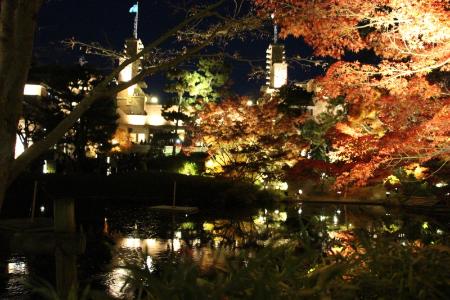 【武庫川女子大学】甲子園会館がライトアップ。多くの市民が幻想的な光の世界を楽しみました。