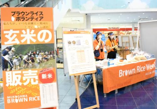 【武庫川女子大学】ブラウンライスボランティアの国連WFPへの支援を募るイベントが、「ららぽーと甲子園」で開催されました。