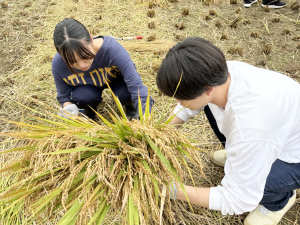 【大手前大学】【現代社会学部】坂元ゼミ「そうだ、おおいた行こう2024」を実施