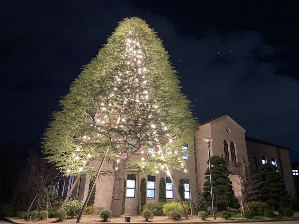 【聖和短期大学】クリスマスツリーの点灯始まる